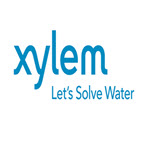 Xylem